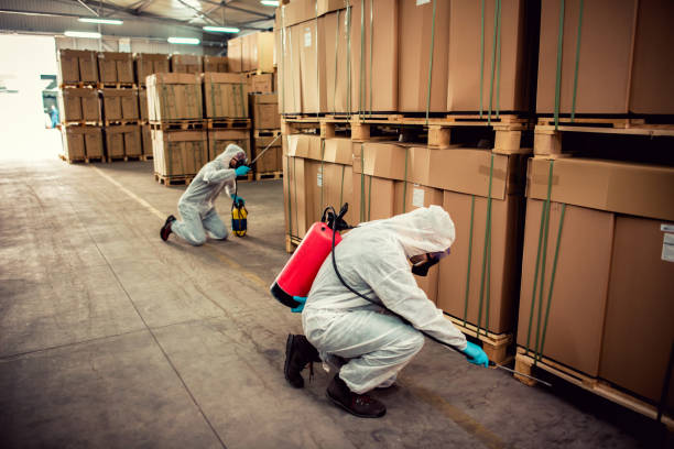 Best Bed Bug Extermination  in Versailles, IN
