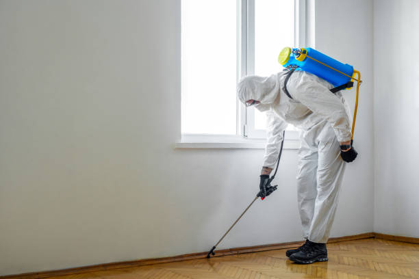 Best Pest Control Cost  in Versailles, IN