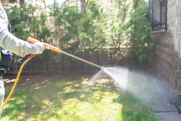 Best Ant Control Services  in Versailles, IN