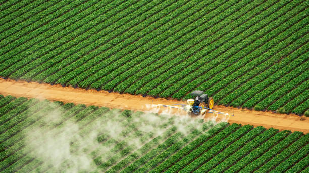 Reliable Versailles, IN Pest Control Solutions