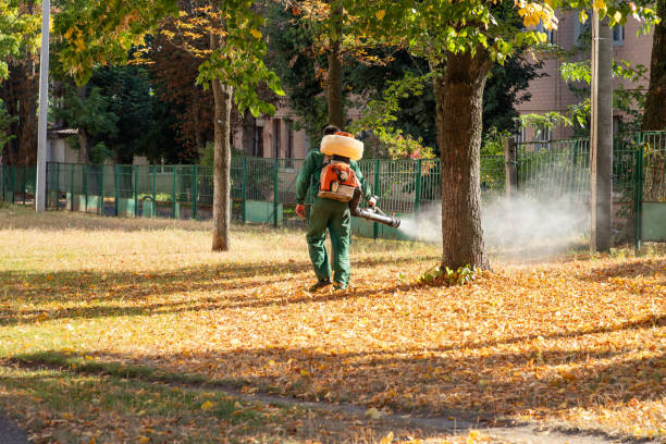 Best Insect Control  in Versailles, IN