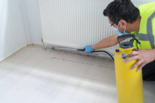 Best Emergency Pest Control  in Versailles, IN