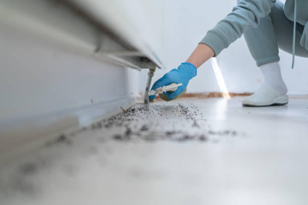 Best Exterminator Services  in Versailles, IN